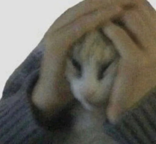 млекопитающее животное Человек