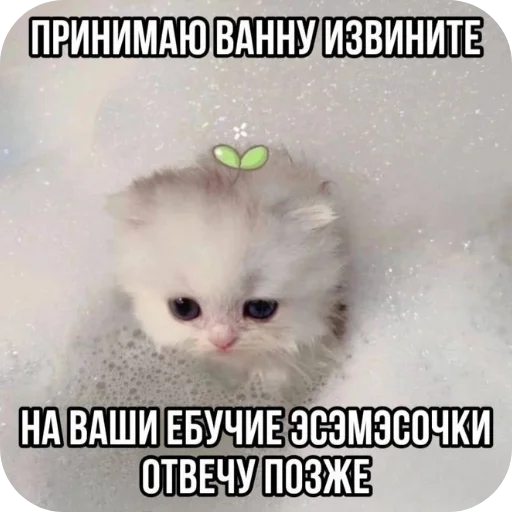 Стикер Koty1528 - 1