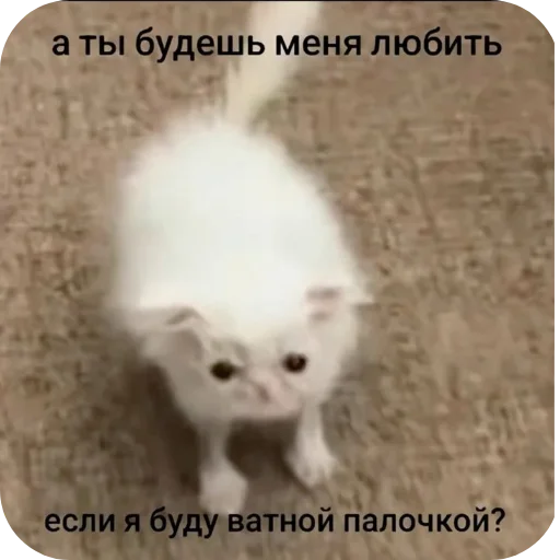 Sticker Koty1528 - 1