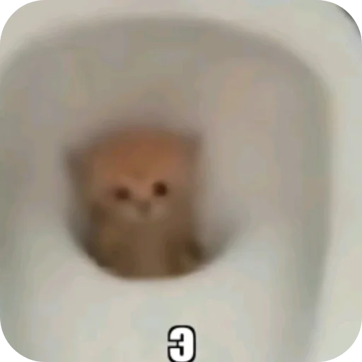 Sticker Koty1528 - 1