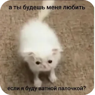 Sticker Коты||автор: @Lipton_BSD - 8