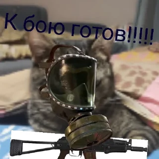 Sticker Коты 2.0 - 11