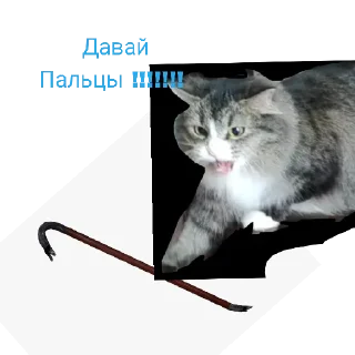 Sticker Коты 2.0 - 8