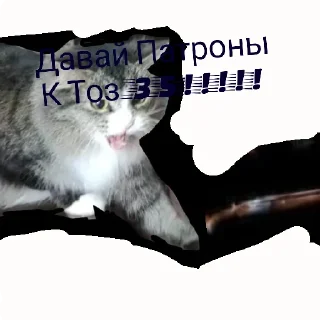 Sticker Коты 2.0 - 9