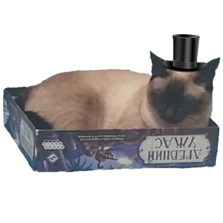 Sticker Коты - 11