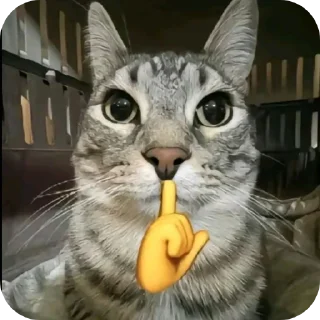 кошки малого и среднего размера кошачьи усы