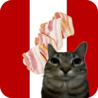 кошки малого и среднего размера кошачьи домашняя кошка