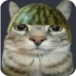 млекопитающее животное кошачьи