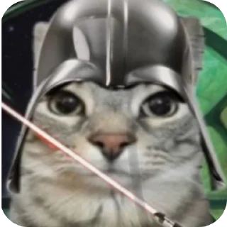 кошки малого и среднего размера кошачьи кошка