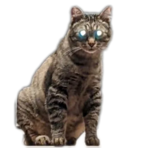 Sticker Koty4577 - 1