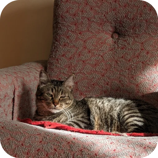 Стикер Koty4577 - 1