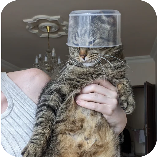 Sticker Koty4577 - 1