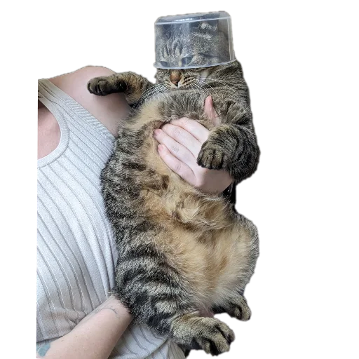 Sticker Koty4577 - 1