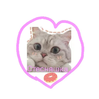 Sticker Коты💜🐱💜 - 1