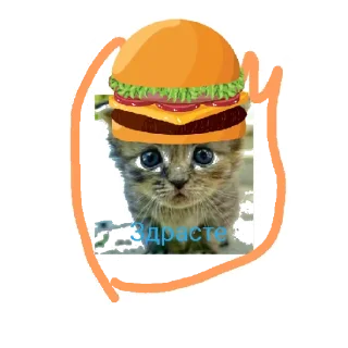 Sticker Коты💜🐱💜 - 2