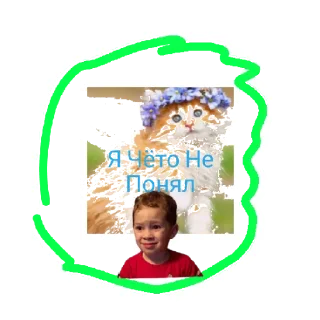 Sticker Коты💜🐱💜 - 4