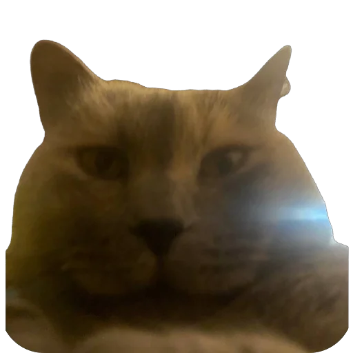 Стикер Koty7870 - 1