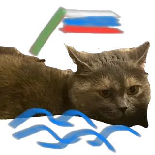 Sticker Коты - 5