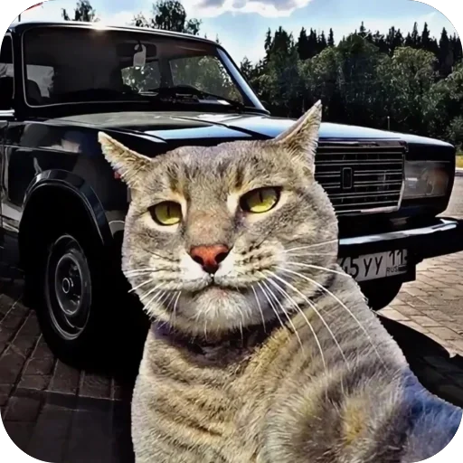 Sticker KotyIMashiny - 1