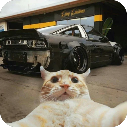 Sticker KotyIMashiny - 1