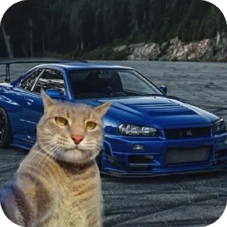 Sticker Коты и машины➡️ @stickerubot - 8