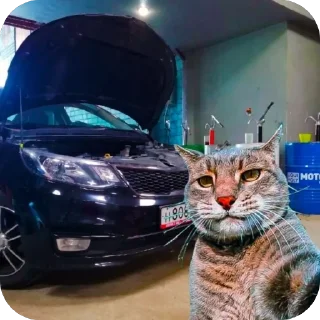 Sticker Коты и машины➡️ @stickerubot - 6