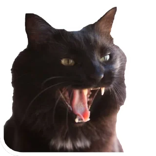 Стикер Коты Оленьего Семейства - 0