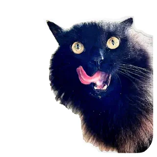 Стикер Коты Оленьего Семейства - 3