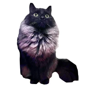 Стикер Коты Оленьего Семейства - 6