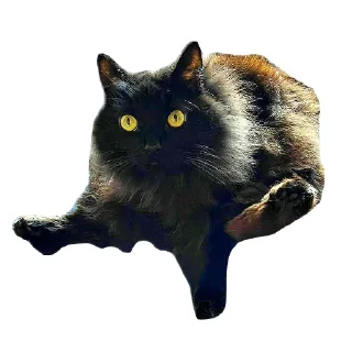 Стикер Коты Оленьего Семейства - 11