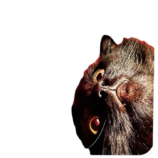 Стикер Коты Оленьего Семейства - 9