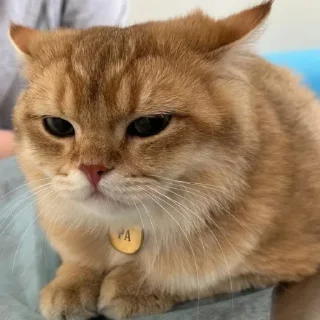 Sticker Солнышко Ра - 0