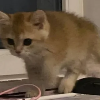 Sticker Солнышко Ра - 2