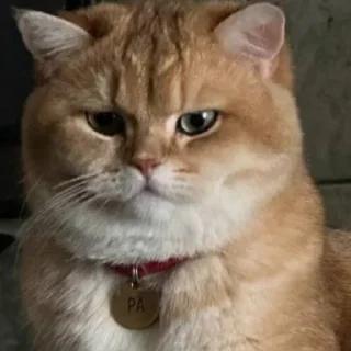 Sticker Солнышко Ра - 5