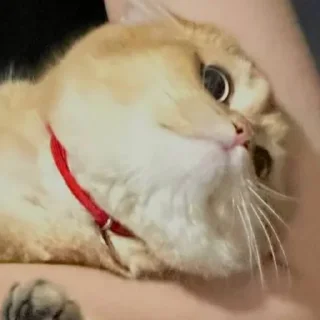 Sticker Солнышко Ра - 8