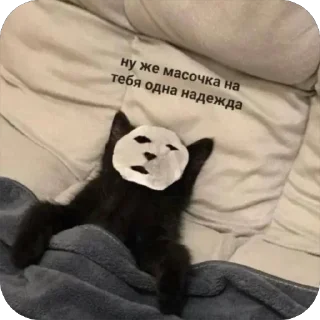Sticker 🐾 котячьи пикчи 🐾 @aesthetifypins - 6