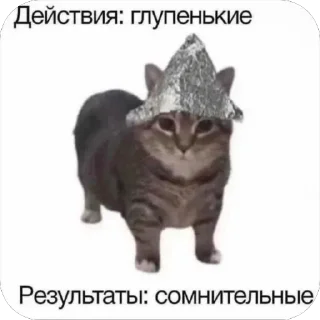 Sticker 🐾 котячьи пикчи 🐾 @aesthetifypins - 9