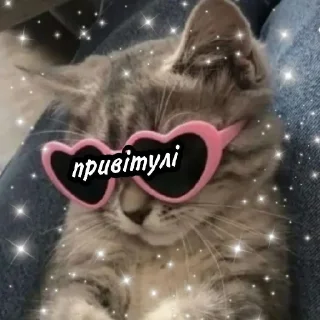 Sticker Котяки - 8