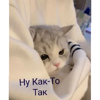 Sticker Котяки - 0