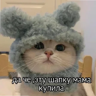 Sticker Котяки - 11