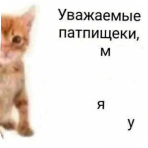 Котяки и няшки - 