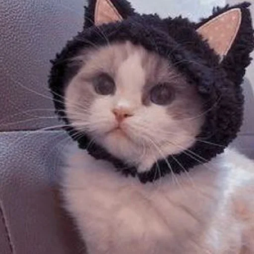 Sticker Kotyata7637 - 1