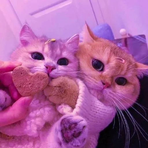 Sticker Kotyata7637 - 1