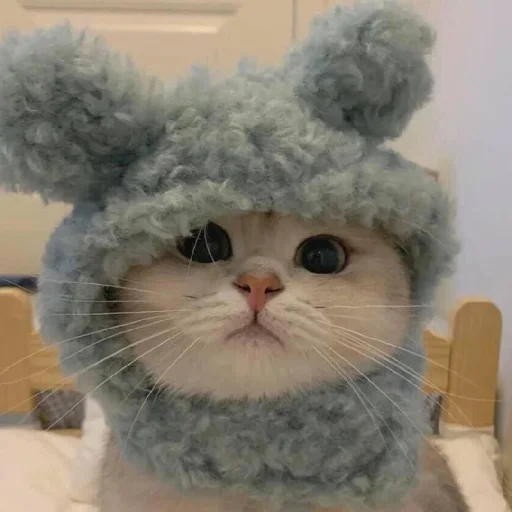 Sticker Kotyata7637 - 1