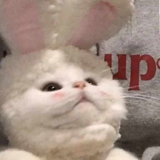 Sticker Kotyata7637 - 1