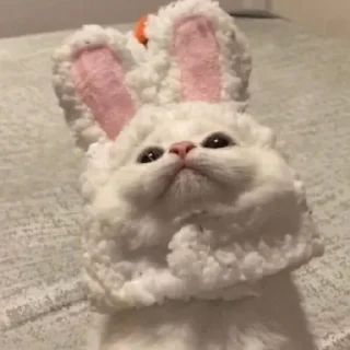 Sticker Котята♡ - 11