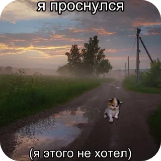 Стикер котята в депрессии - 9