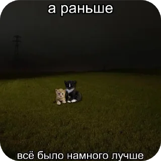 Стикер котята в депрессии - 8