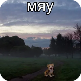 Стикер котята в депрессии - 3