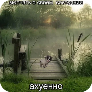 Стикер котята в депрессии - 5